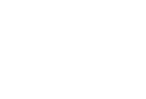SDC-White.png