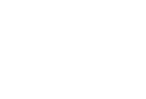Skat-White3.png