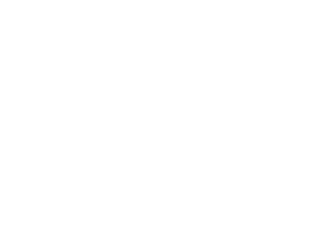 bankdata-White.png